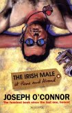 Irish Male At Home And Abroad (eBook, ePUB)