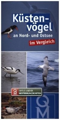 Küstenvögel an Nord- und Ostsee im Vergleich