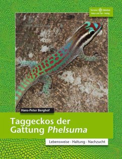 Taggeckos der Gattung Phelsuma - Berghof, Hans P