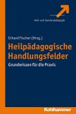 Heilpädagogische Handlungsfelder (eBook, ePUB)