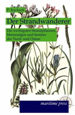 Der Strandwanderer - Kuckuck, P.