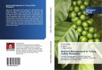 Nutrient Management In Young Coffee Plantation