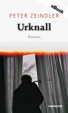 Urknall (eBook, ePUB)
