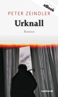 Urknall (eBook, ePUB) - Zeindler, Peter