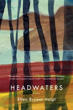 Headwaters - Voigt, Ellen Bryant