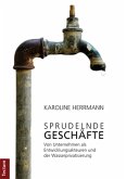 Sprudelnde Geschäfte (eBook, PDF)