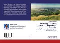Analyzing Allocation Efficiency of Agricultural Resources