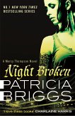 Night Broken (eBook, ePUB)
