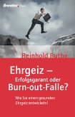 Ehrgeiz - Erfolgsgarant oder Burnout-Falle? (eBook, ePUB)