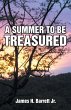 A Summer to Be Treasured - Bild 1