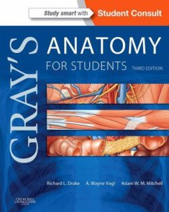 Gray's Anatomy for Students - Drake, Richard L.;Mitchell, Adam W. M.;Vogl, A. Wayne