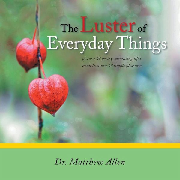 The Luster of Everyday Things The Luster of Everyday Things