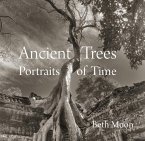 Ancient Trees