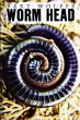 Worm Head - Bild 1
