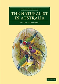 The Naturalist in Australia - Saville-Kent, William