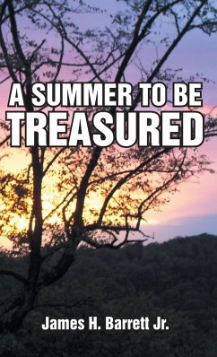 A Summer to Be Treasured - Barrett Jr, James H.