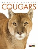 Cougars