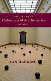 Why Is There Philosophy of Mathematics At All?