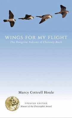 Wings for My Flight - Houle, Marcy Cottrell