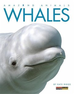 Whales - Riggs, Kate