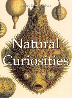 Natural Curiosities (eBook, ePUB) - Wallace, Alfred Russel