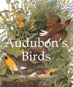 Audubon's Birds (eBook, ePUB) - Audubon, John James