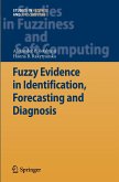 Fuzzy Evidence in Identification, Forecasting and Diagnosis