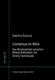 Comenius im Blick (eBook, PDF)