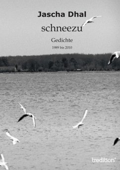 Cover schneezu (eBook, ePUB)