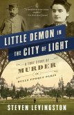 Little Demon in the City of Light (eBook, ePUB)