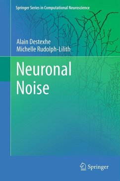 Neuronal Noise - Destexhe, Alain;Rudolph-Lilith, Michelle