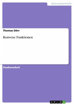 Konvexe Funktionen (eBook, PDF)