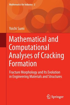 Mathematical and Computational Analyses of Cracking Formation - Sumi, Yoichi