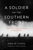 A Soldier on the Southern Front (eBook, ePUB)