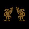 Liverbirds - Bild 1