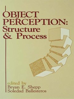Object Perception (eBook, ePUB)