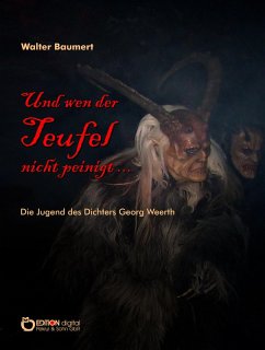 Und wen der Teufel nicht peinigt ... (eBook, PDF) - Baumert, Walter