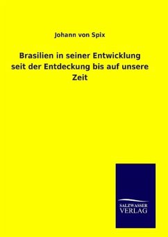 Brasilien in seiner Entwicklung seit der Entdeckung bis auf unsere Zeit - Spix, Johann von