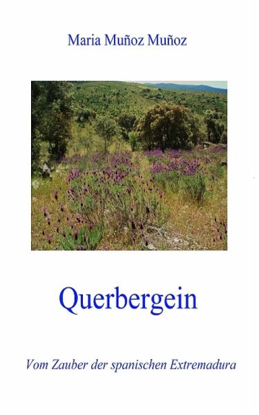 Querbergein (eBook, ePUB)