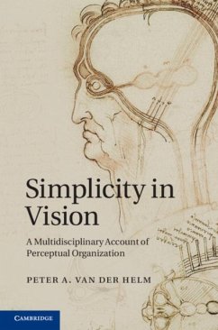 Cover Simplicity in Vision (eBook, PDF)