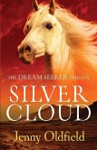 Silver Cloud (eBook, ePUB) Silver Cloud (eBook, ePUB)