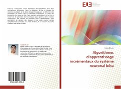 Algorithmes d¿apprentissage incrémentaux du système neuronal bêta - Dhahri, Habib