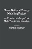 Texas National Energy Modeling Project (eBook, ePUB)