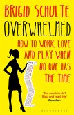 Overwhelmed (eBook, ePUB)