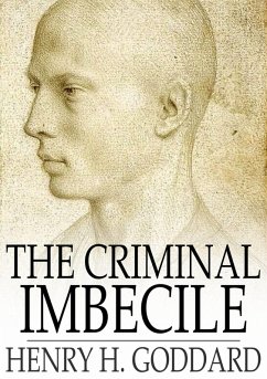Cover Criminal Imbecile (eBook, ePUB)