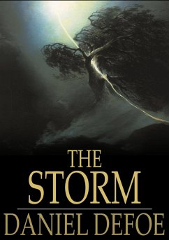 Cover Storm (eBook, ePUB)