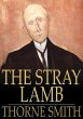 Stray Lamb (eBook, ePUB) - Bild 1