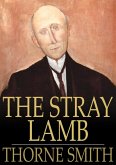 Stray Lamb (eBook, ePUB)