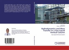 Hydrodynamics and Mass Transfer in a Gas-Liquid Vertical Column