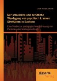 Der schulische und berufliche Werdegang von psychisch kranken Straftätern in Sachsen: Eine Studie zur pädagogischen Betreuung von Patienten des Maßregelvollzugs